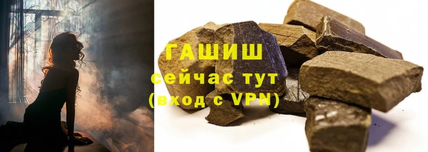 твердый Щигры