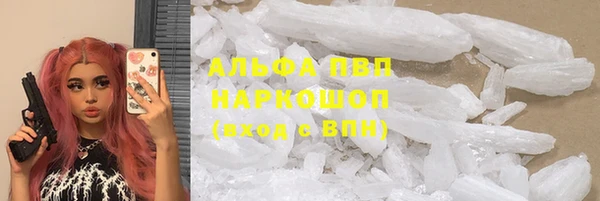 твердый Щигры
