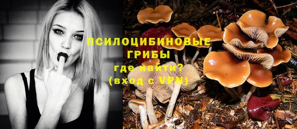 твердый Щигры