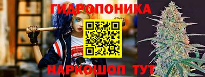 a pvp Абинск