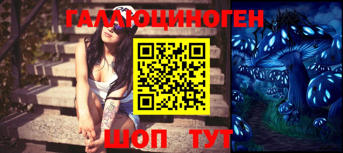Бошки Шишки  МДМА  Канабис  Вход с VPN  Норильск  A-PVP  Мяу-Мяу  Кокаин  ГАШ  Гашик 