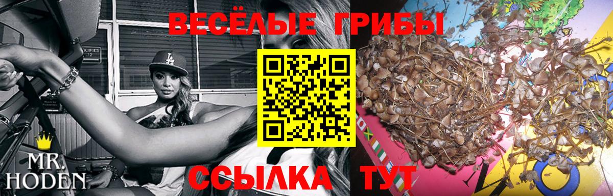 Псилоцибиновые грибы GOLDEN TEACHER  Вход с VPN  Норильск 